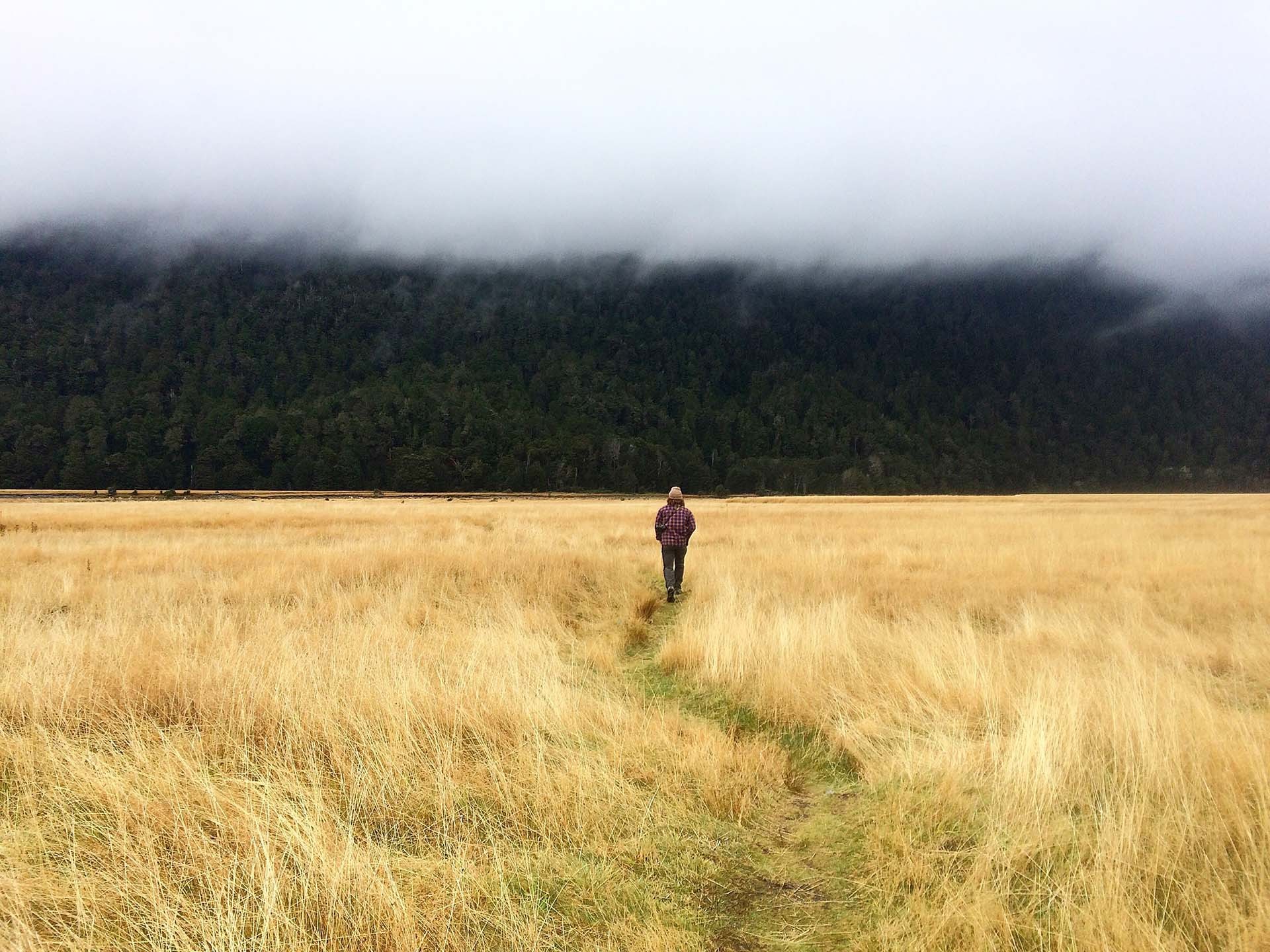 Landplay, Indigenous Biodiversity, Indigenous biodiversity is part of what makes Aotearoa New Zealand special, and farmers have a key part to play as stewards of the land.