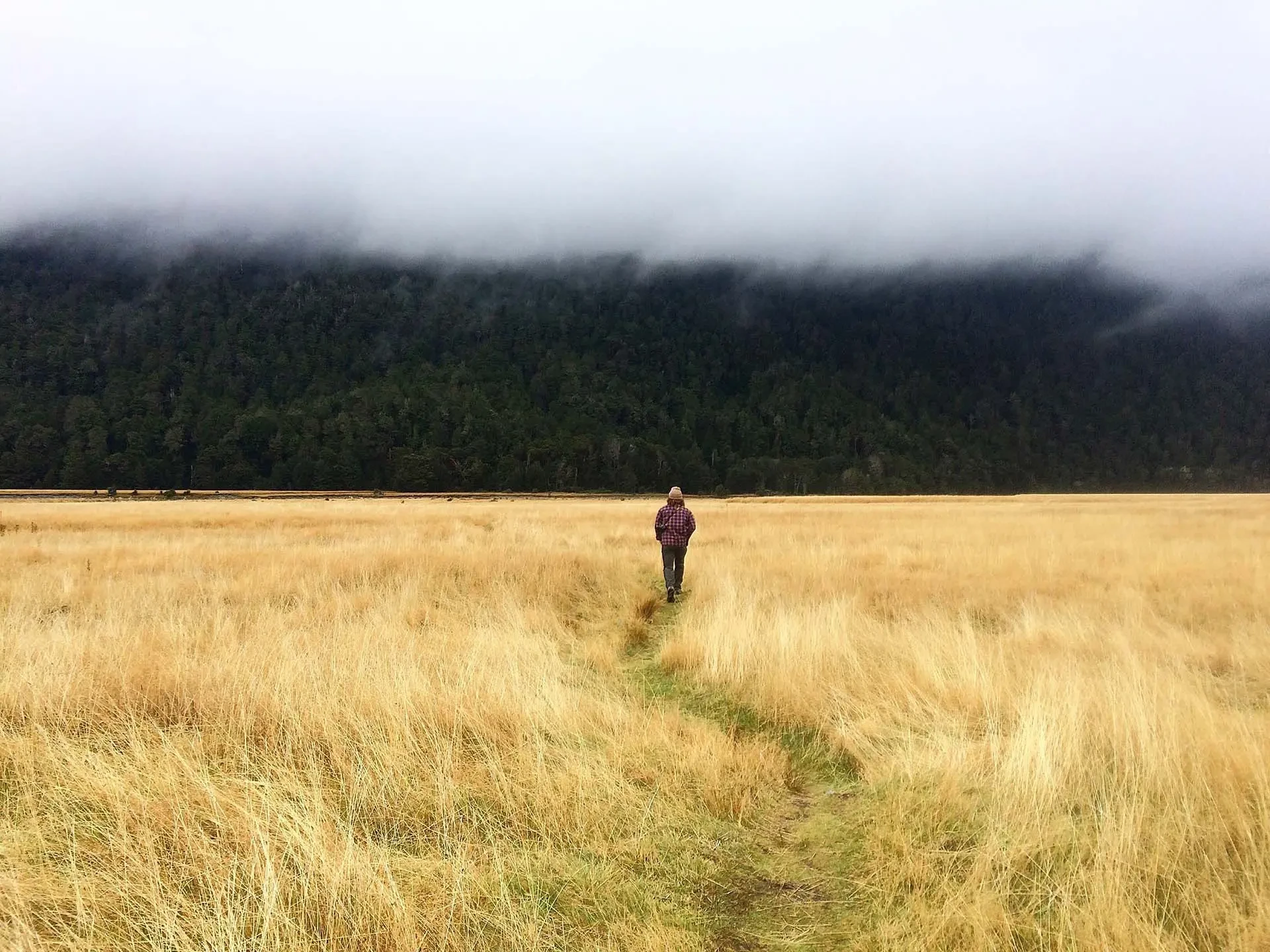 Indigenous Biodiversity Landplay, Indigenous Biodiversity, Indigenous biodiversity is part of what makes Aotearoa New Zealand special, and farmers have a key part to play as stewards of the land.