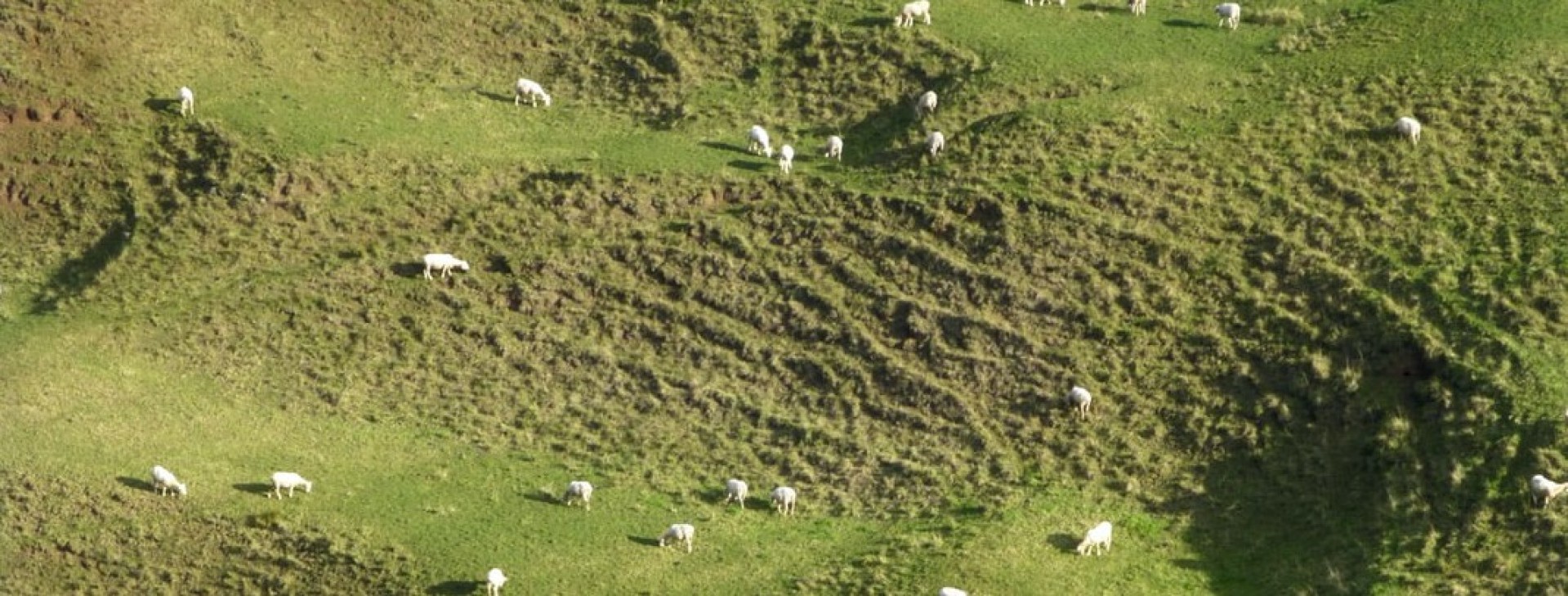 Rural Subdivision Landplay, Rural Subdivision, Rural Subdivision, Mackenzie